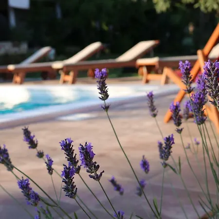 Holiday home Mobile Homes Dvor *