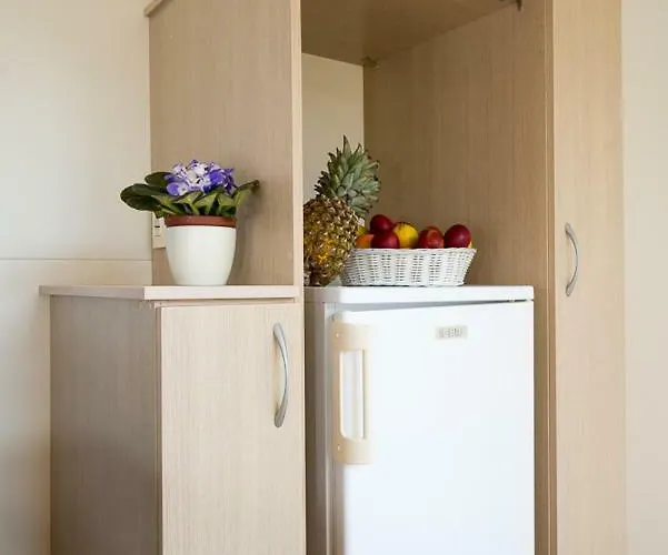 Mobile Homes Dvor